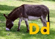 Donkey