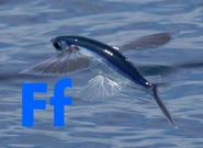 Flying Fish