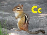 Chipmunk
