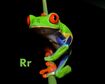 Red-Eyed Tree Frog