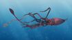 Giant Squid