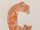 Corn Snake