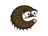 Centipede