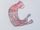 Colossal squid