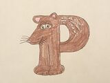 Paca