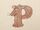 Paca
