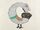 Capercaillie