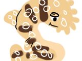 Spotted Wobbegong