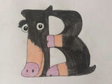 Berkshire Pig