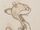 Spinner Shark