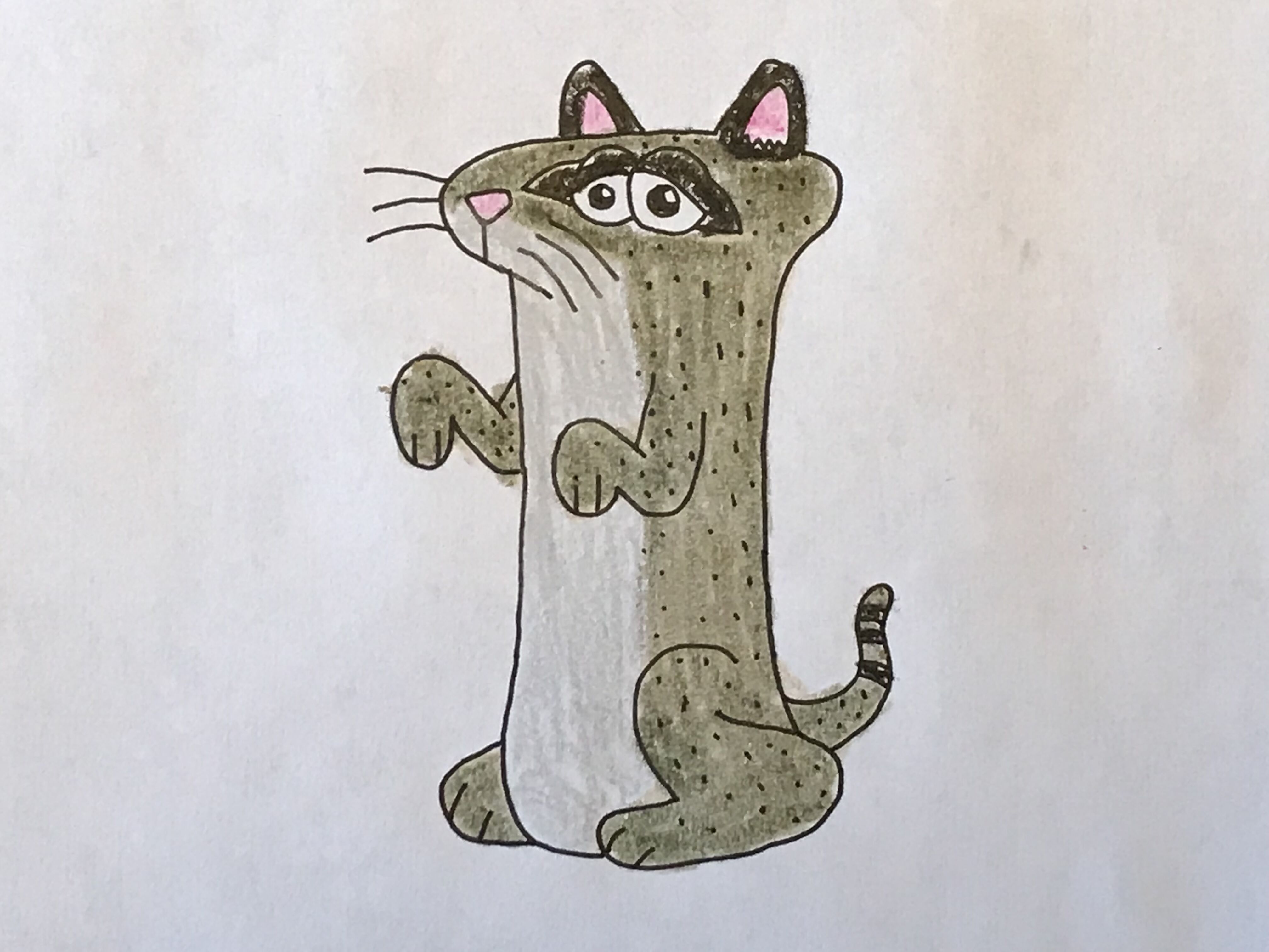 絵画 Iriomote wildcat Iriomote cat, new photo and beautiful drawing - Wild Cats