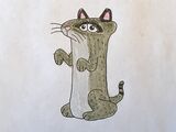 Iriomote Cat