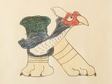 Kalij Pheasant