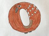 Oilbird