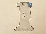 Irrawaddy Dolphin