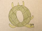Olive Ridley Sea Turtle