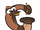 Gigantopithecus
