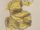 Snowflake Moray