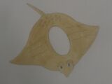 Ornate Eagle Ray
