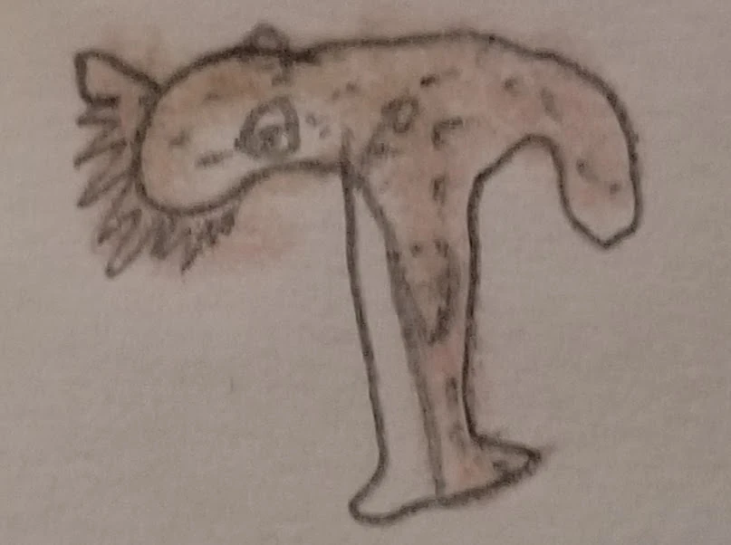 Tasselled Wobbegong | Alphabetimals Wiki | Fandom