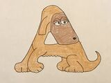 Domestic Animals A-Z