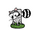 Raccoon