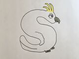 Sulphur-Crested Cockatoo