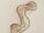 Sea Mouse