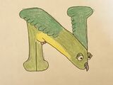 Night Parrot