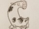Calf