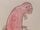 Chinese Giant Salamander