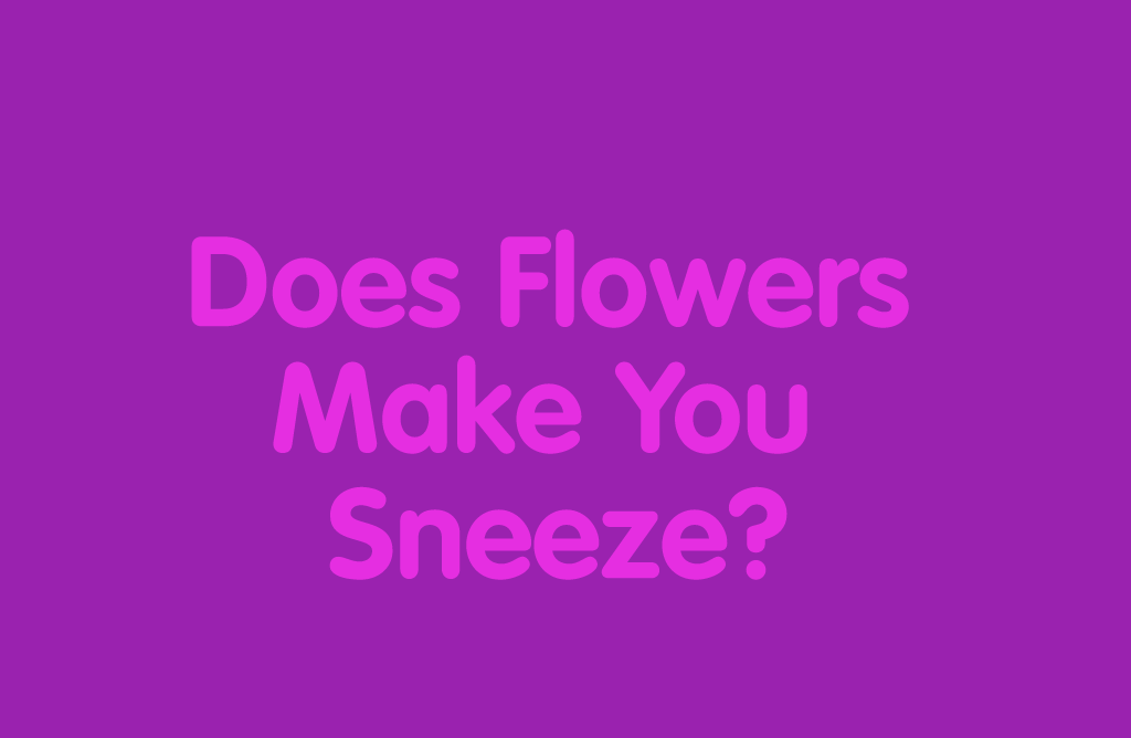 Does Flowers Make You Sneeze? Alphabuddies Wiki Fandom