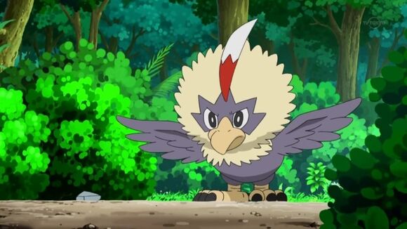 Rufflet | AlpheaPedia Wiki | Fandom