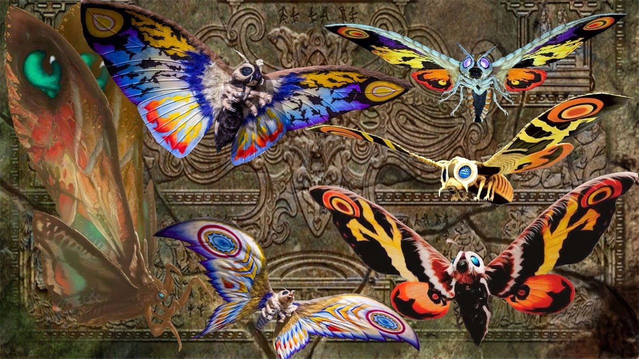 Mothra Species | AlpheaPedia Wiki | Fandom