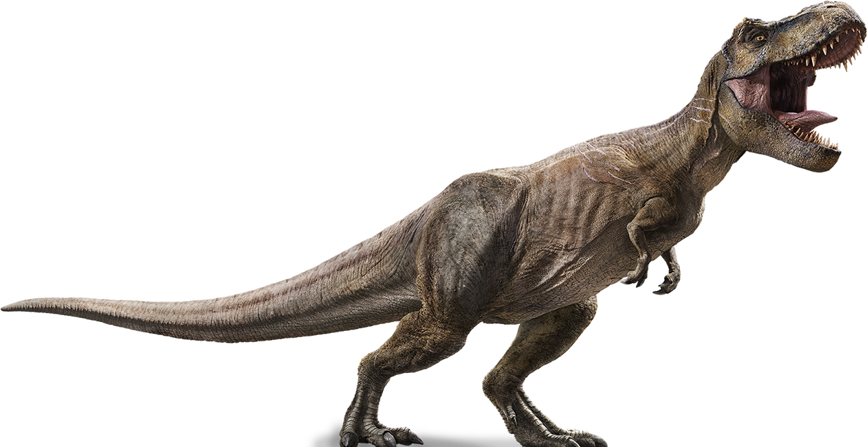 Tyrannosaurus - Wikipedia