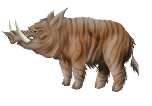 Tiger Boar