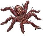 Xenesthis