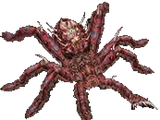Xenesthis