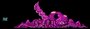 Kraken