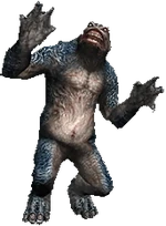 Sasquatch
