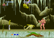 A Chicken Stinger in the Genesis version.