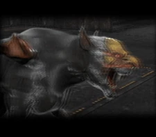 Sytry from the background of the Boss Enemy Data menu.