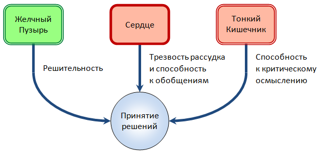 Взаимосвязь между Сердцем, Тонким Кишечником и Желчным Пузырем в принятии решений