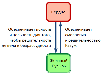 Взаимосвязь Сердца и Желчного Пузыря