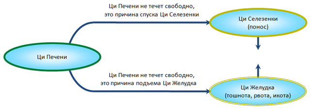Взаимосвязь между возмущением-застоем Ци Печени, Ци Желудка и Ци Селезенки