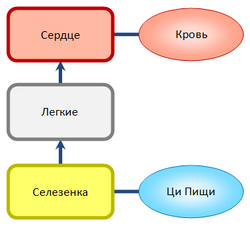 Ци Пищи и Кровь