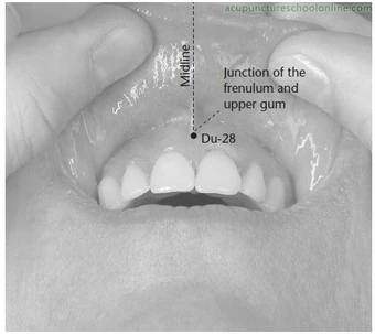 Точка Инь-цзяо Du-28