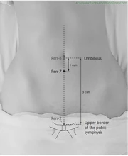 Точка Инь-цзяо Ren-7