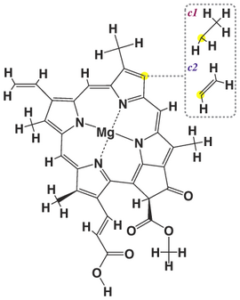 Chlorophyll c