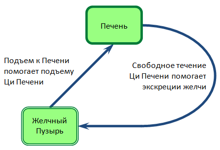 Подъем Ци Желчного Пузыря